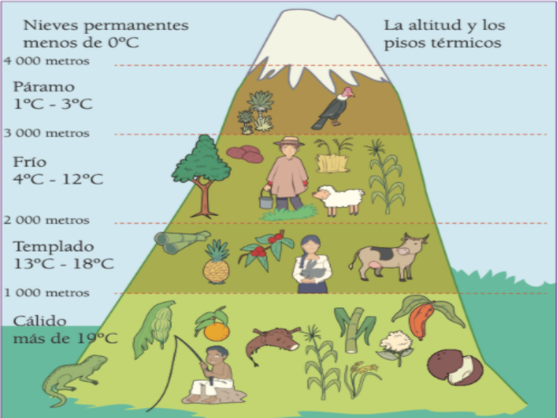 Puzzle De Pisos Climáticos Ecuador Rompecabezas De 4433