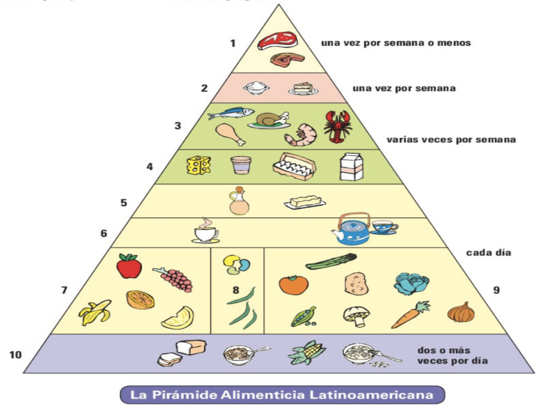 Puzzle De Rompecabezas Pir Mide Alimenticia Actual En Latinoamerica Rompecabezas De